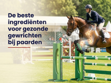 De beste ingrediënten voor gezonde gewrichten bij paarden.
