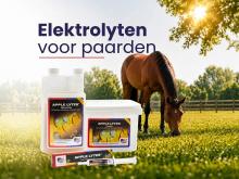 Elektrolyten voor paarden: wanneer geef je ze en welke vorm kies je?