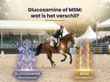 Glucosamine of MSM: wat is het verschil?