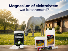 Magnesium of elektrolyten voor paarden: wat is het verschil?