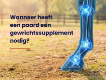 Wanneer heeft een paard een gewrichtssupplement nodig?