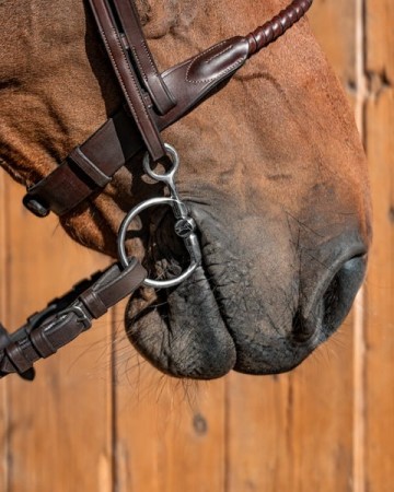 Sweet iron baucher bit MATTIAS