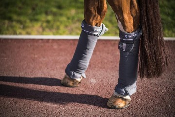 Winderen Thermo Clear stalbandages