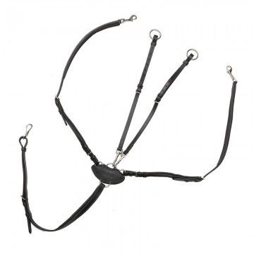 Kavalkade borsttuig V-shape