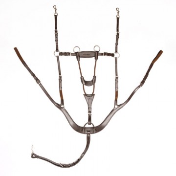 Anatomisch 5-punts borsttuig Caya