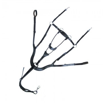 Anatomisch 5-punts borsttuig Caya