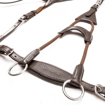 Anatomisch 5-punts borsttuig Caya