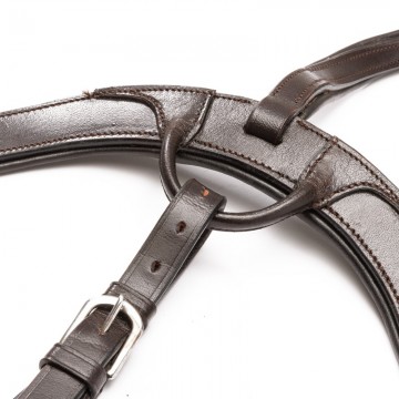 Anatomisch 5-punts borsttuig Caya