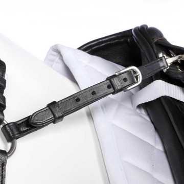 Anatomisch 5-punts borsttuig Caya
