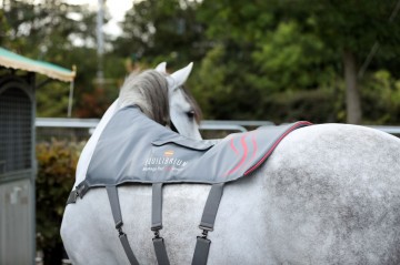 Equilibrium massage pad Heatsense