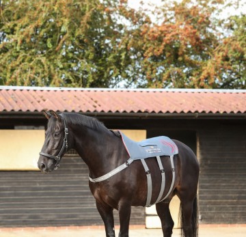 Equilibrium massage pad Heatsense