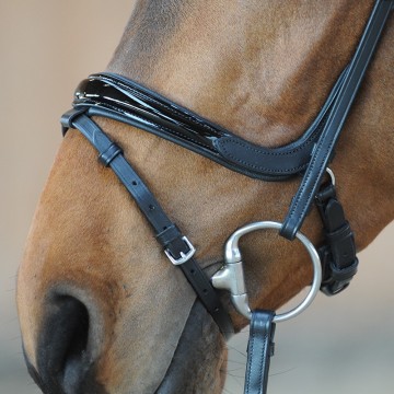 Kavalkade hoofdstel Ivana