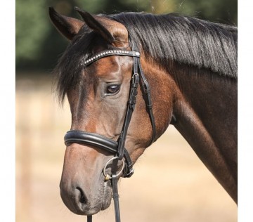 Kavalkade hoofdstel Diana zwart