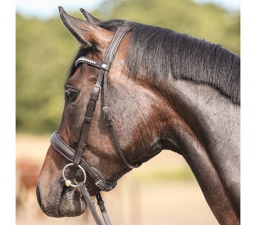 Kavalkade hoofdstel Diana bruin