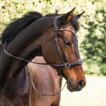 Kavalkade bitloos hoofdstel Light