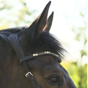 Kavalkade bitloos hoofdstel Light