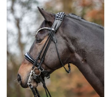Kavalkade stang- en trenshoofdstel Fleur