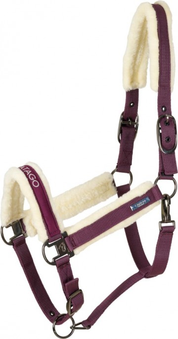 Catago halster Trace plum