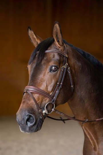 1hfi020br   padded biais