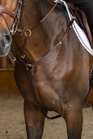 HFI Pro line Arezzo borsttuig