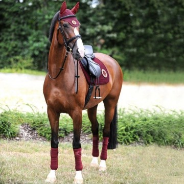 Bordeaux fleece bandages