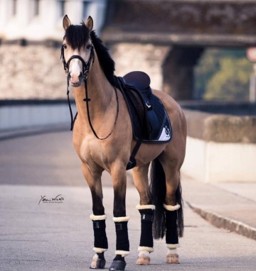 Fleece bandages zwart met mesh onderleggers met lamswol