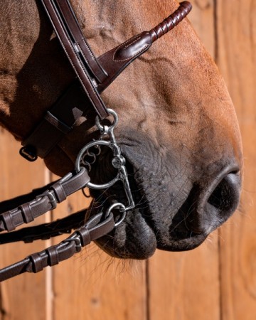 Baby pelham ANNA met FSS lock