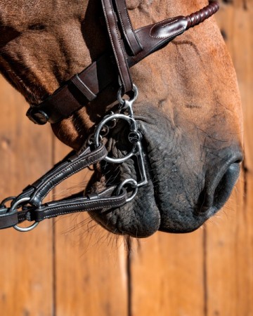 Baby pelham THOR met tongvrijheid
