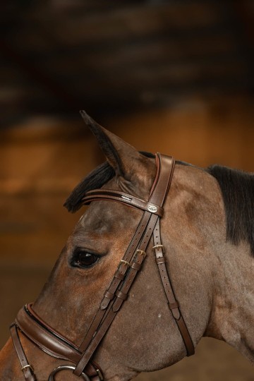 HFI hoofdstel Edges met lak