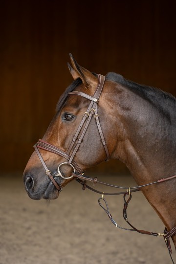 2hfi020br   padded profil