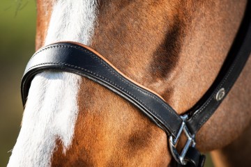 HFI leren halster Two Tone zwart / cognac