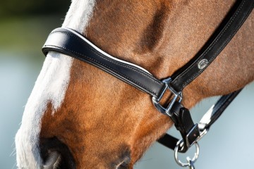 HFI leren halster Two Tone zwart / wit