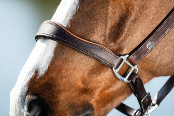 HFI leren halster Two Tone