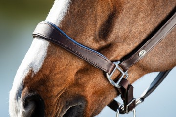 HFI leren halster Two Tone