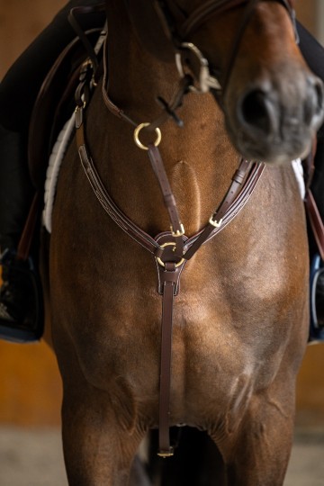 HFI Pro line Arezzo borsttuig