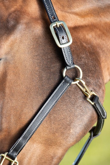 HFI halster Fine zwart