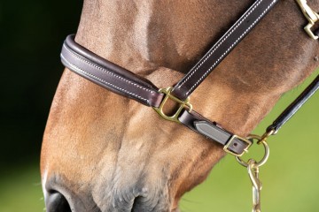 HFI halster Fine bruin