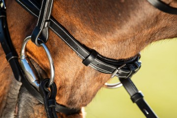 HFI hoofdstel Elegant