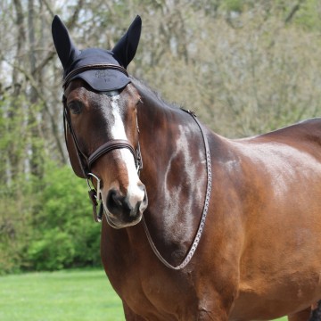 Fenwick liquid titanium calming oornetje 1