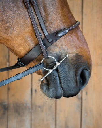 Kneveltrens JOHN met sweet iron