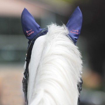 Kavalkade oornetje Alice