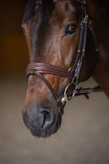 3hfi020br   padded muserolle biais