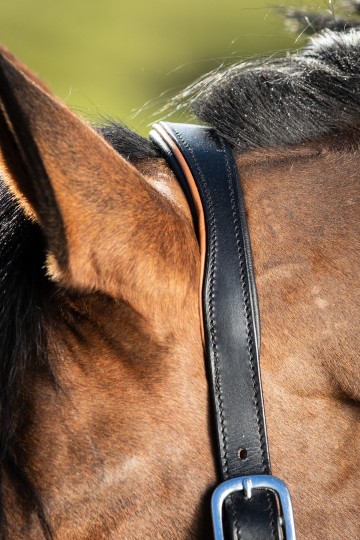 HFI leren halster Two Tone zwart / cognac