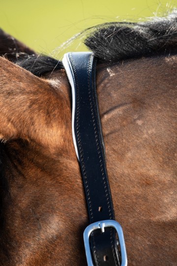 HFI leren halster Two Tone zwart / wit