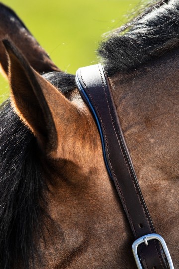 HFI leren halster Two Tone