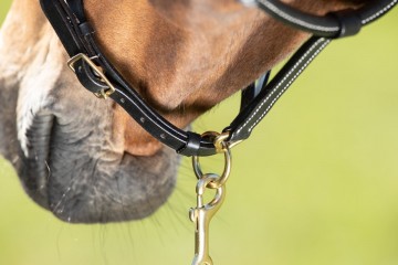 HFI halster Fine zwart