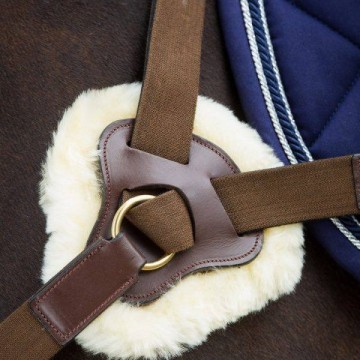 HFI 5 punts borsttuig