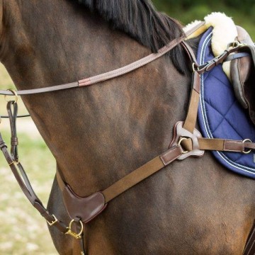 HFI 5 punts borsttuig