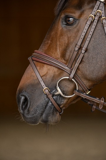 4hfi020br   padded muserolle profil