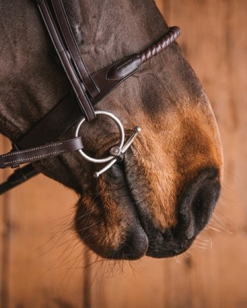 Sweet iron baby fulmer MATTIAS